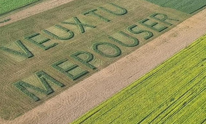 一名法国农民在田地上画了求婚的语句